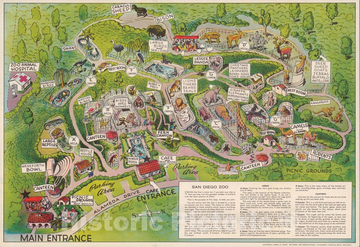 Historic Wall Map : San Diego Zoo. Copyright : Lowell E. Jones, 1947 Pictorial Map - Vintage Wall Art