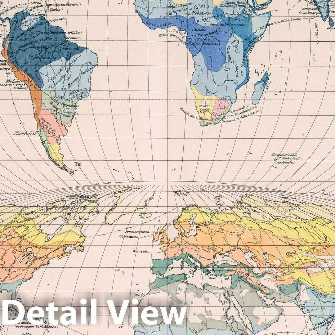 Historic Map : Heimat der Nahrungs und genusspflanzen und die culturezonen der Erde, 1887 Atlas - Vintage Wall Art