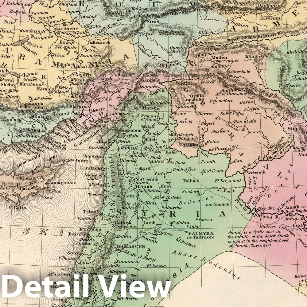 Historic Map : Turkey in Asia. (Inset) Environs of Constantinople, 1836 Atlas v2