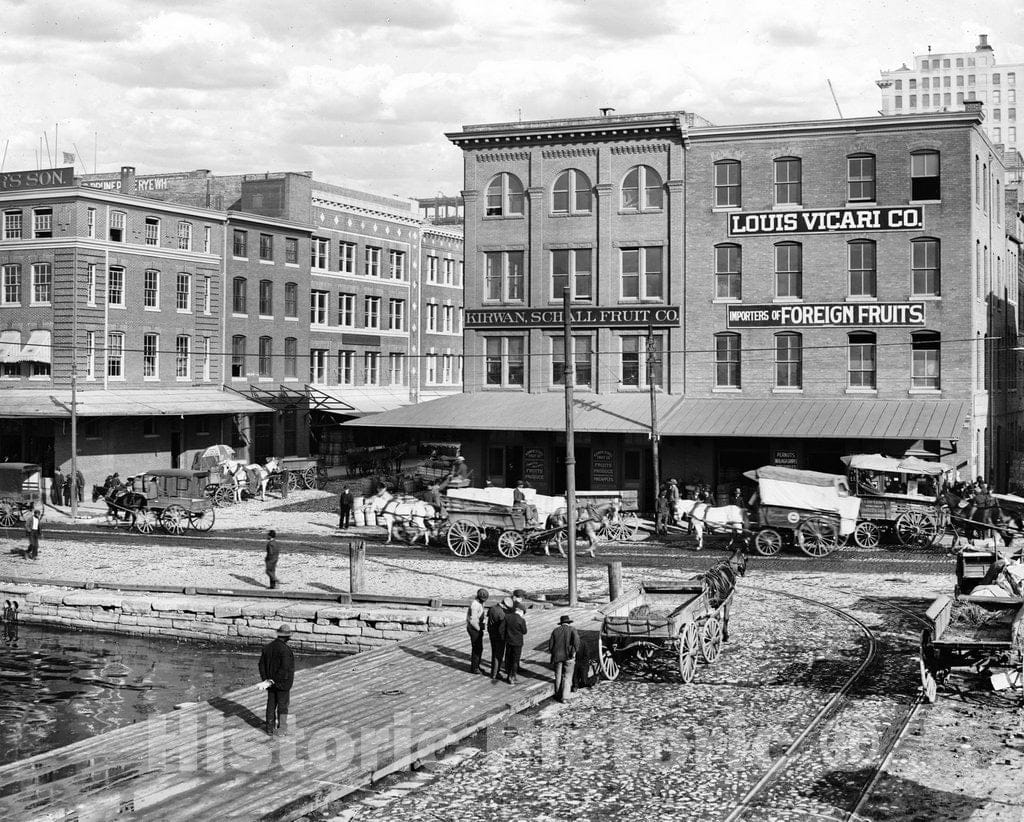 Baltimore Historic Black & White Photo, Side Wheelers in The Basin, c1903 -