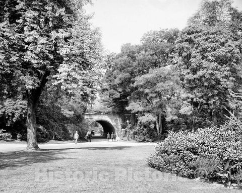 Historic Black & White Photo - Brooklyn, New York - Walking in Prospect Park, c1915 -