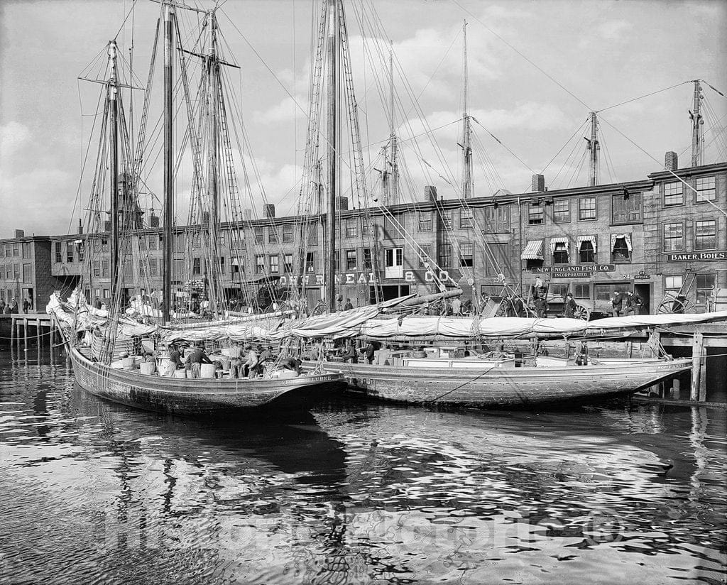 Boston Historic Black & White Photo, Fishing Schooners at the"T"' Wharf, c1904 -