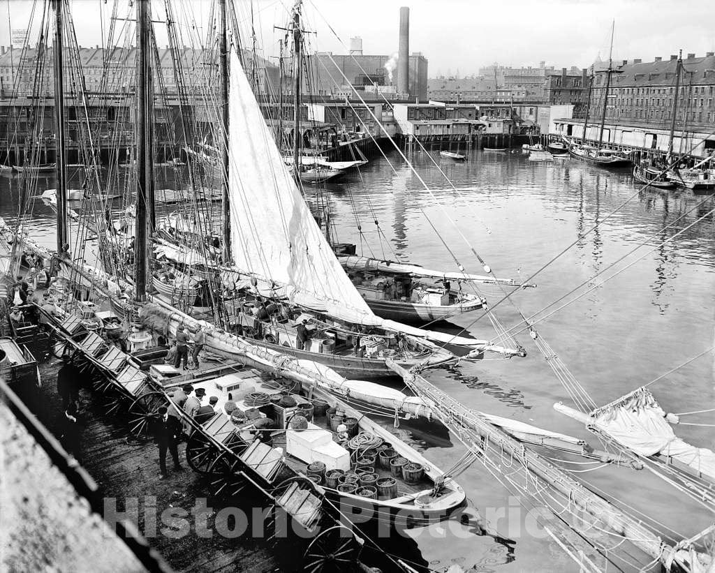 Historic Black & White Photo - Boston, Massachusetts - Fishermen Docked at the T-Wharf, c1905 -