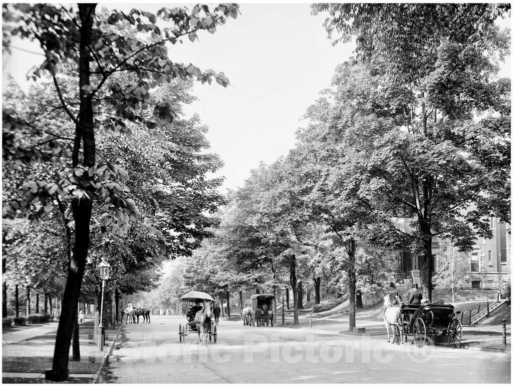 Historic Black & White Photo - Buffalo, New York - Carriages on Delaware Avenue, c1904 -