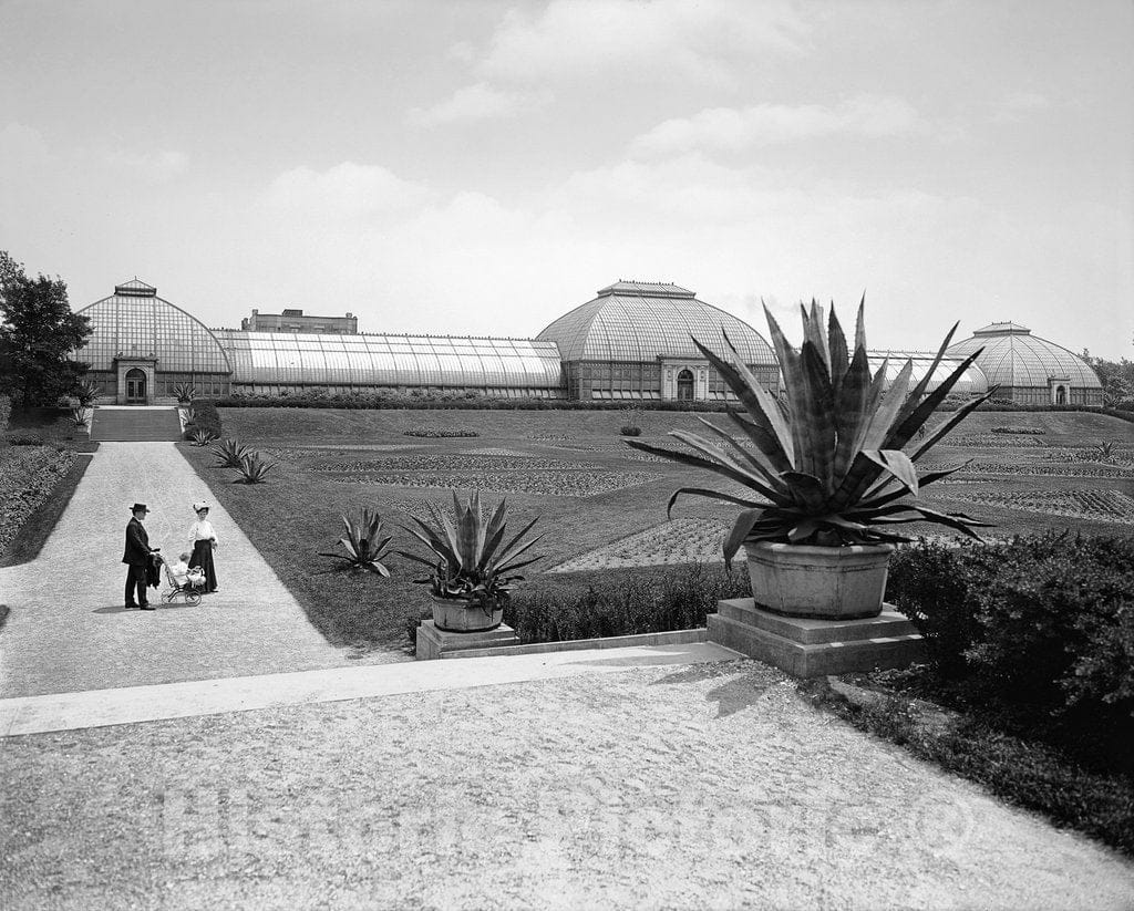 Chicago Historic Black & White Photo, The Washington Park Conservatory, c1907 -