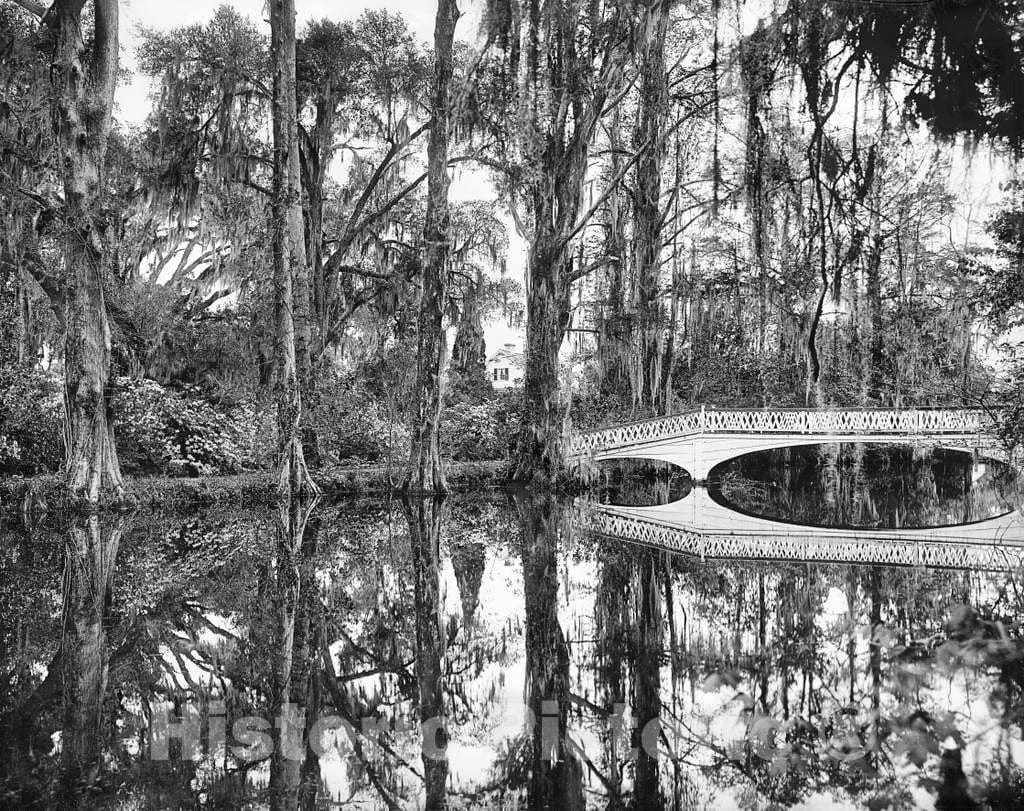 Historic Black & White Photo - Charleston, South Carolina - The Lake at Magnolia Gardens, c1901 -