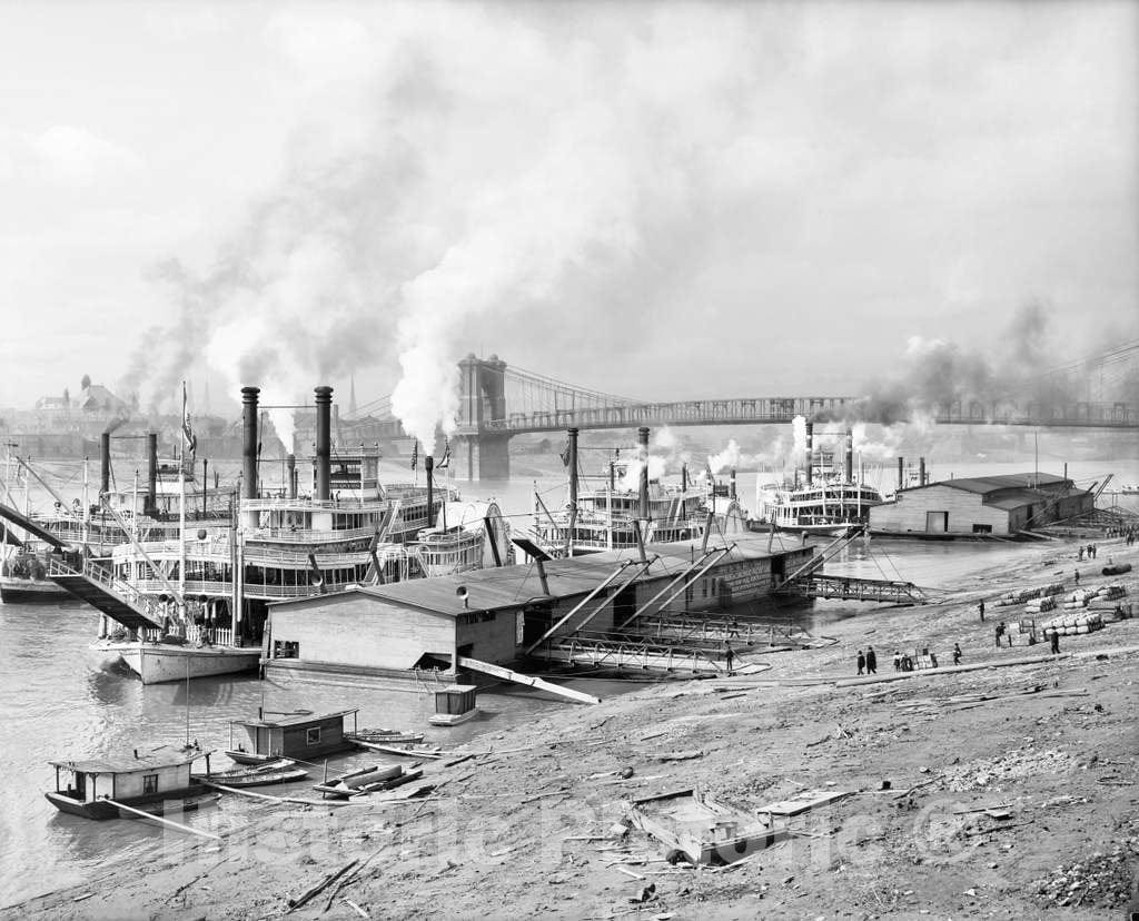 Historic Black & White Photo - Cincinnati, Ohio - Steamboat Traffic on the Ohio River, c1907 -