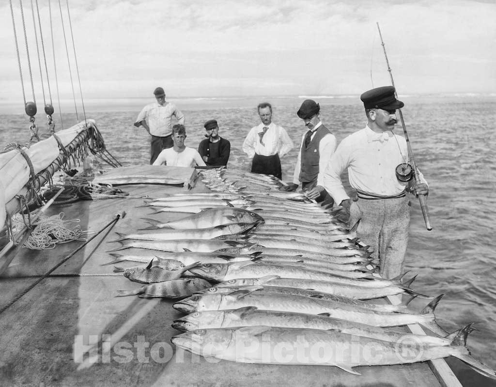 Historic Black & White Photo - Palm Beach, Florida Shores - The Days Catch off of Palm Beach, c1894 -