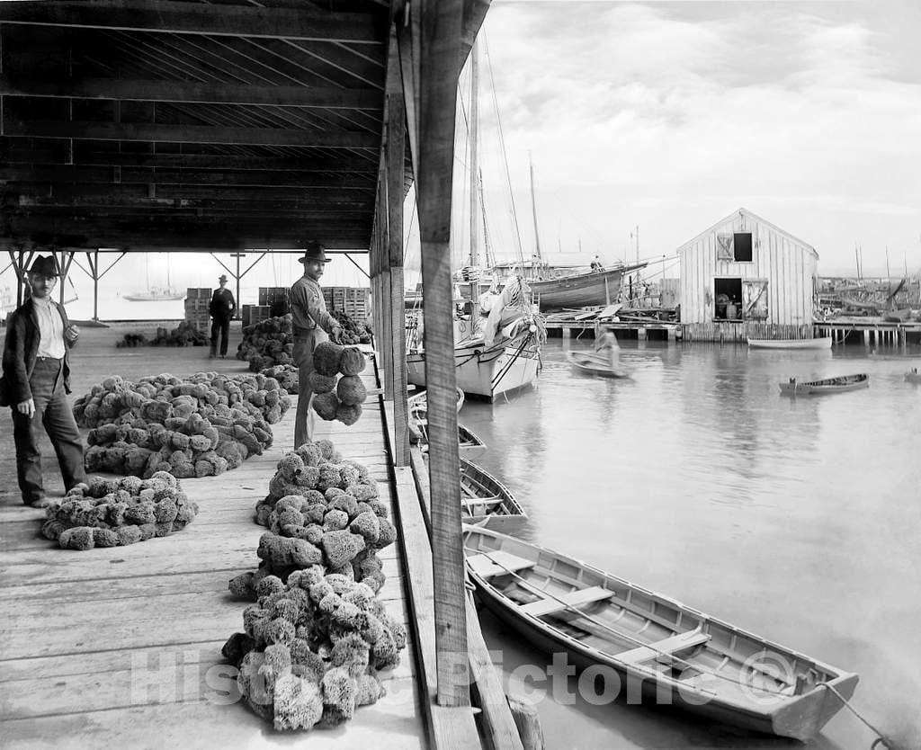 Historic Black & White Photo - Key West, Florida Shores - The Sponge Exchange on Key West, c1895 -