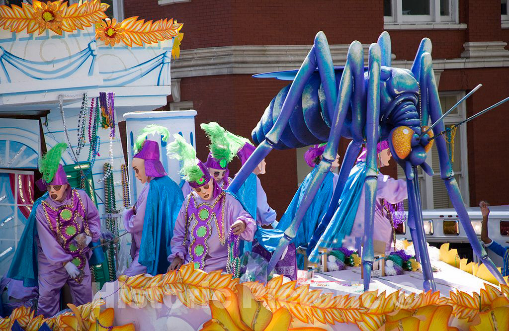 Photo - Mardi Gras Parade, 2006, New Orleans, Louisiana- Fine Art Photo Reporduction