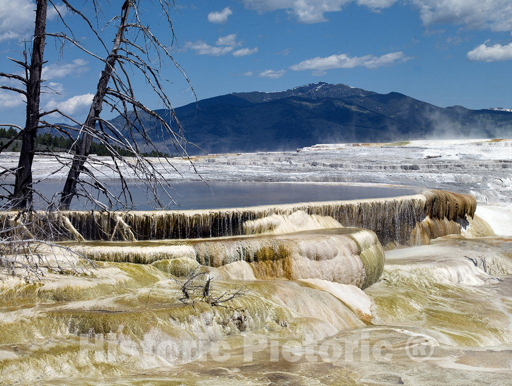 Yellowstone National Park, WY Photo - Mammoth Hot Springs, Yellowstone National Park, Wyoming