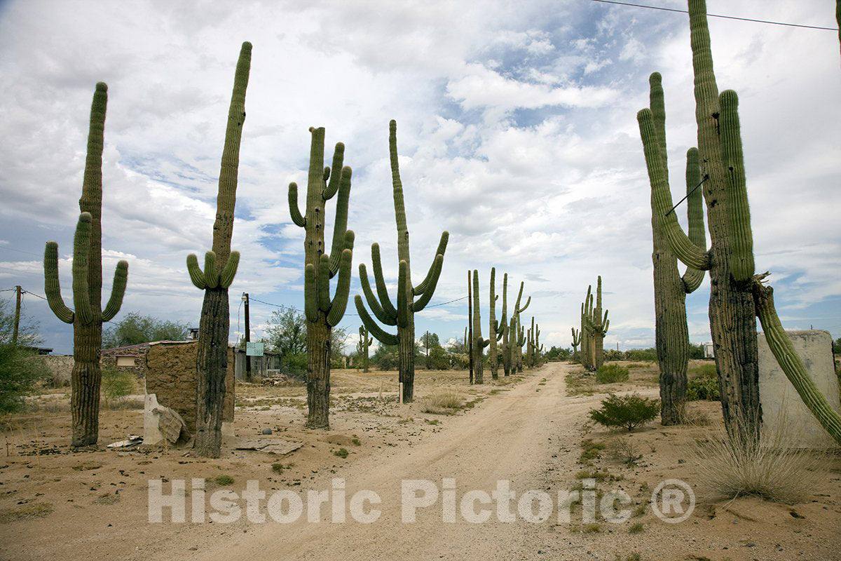 Florence, AZ Photo - Rural Arizona Near Florence, Arizona