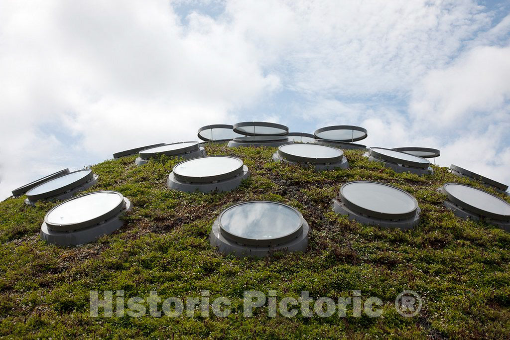 Photo - Living roof, California Academy of Sciences Museum, San Francisco, California- Fine Art Photo Reporduction