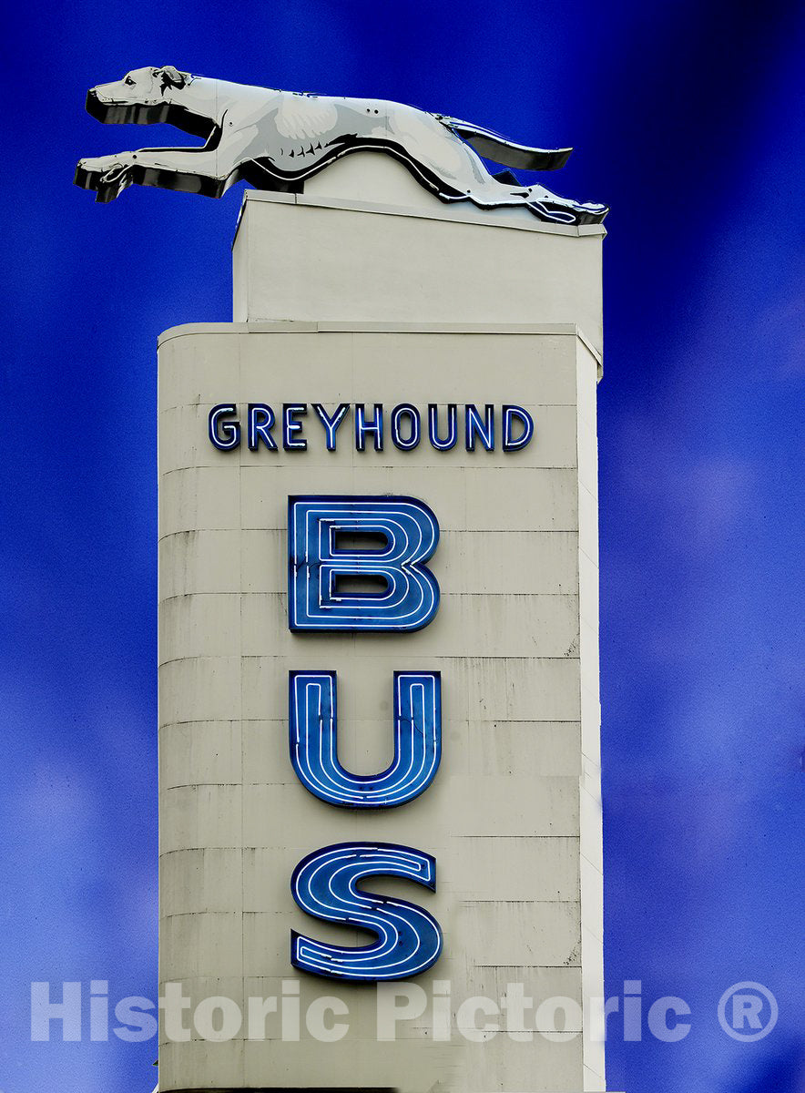 South Carolina Photo - Greyhound Bus Sign, South Carolina