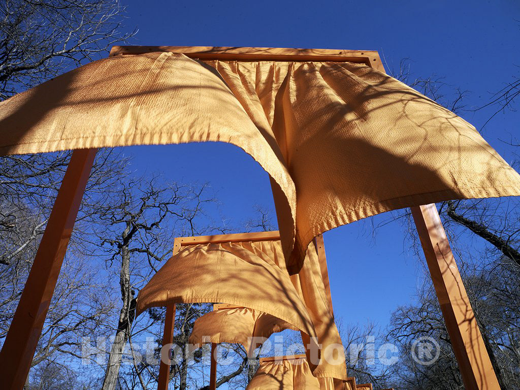 New York, NY Photo - The Gates Art, Central Park, New York, New York