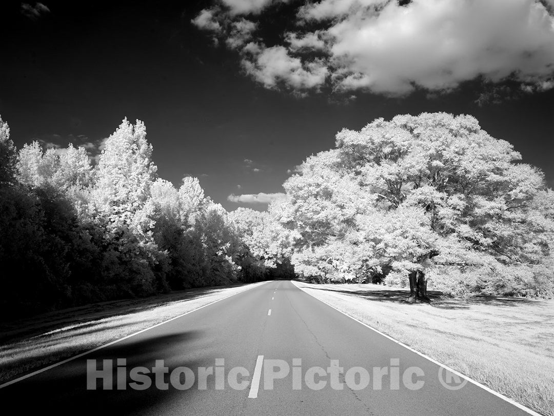 Natchez Trace Parkway, MS Photo - Natchez Trace Parkway, Mississippi