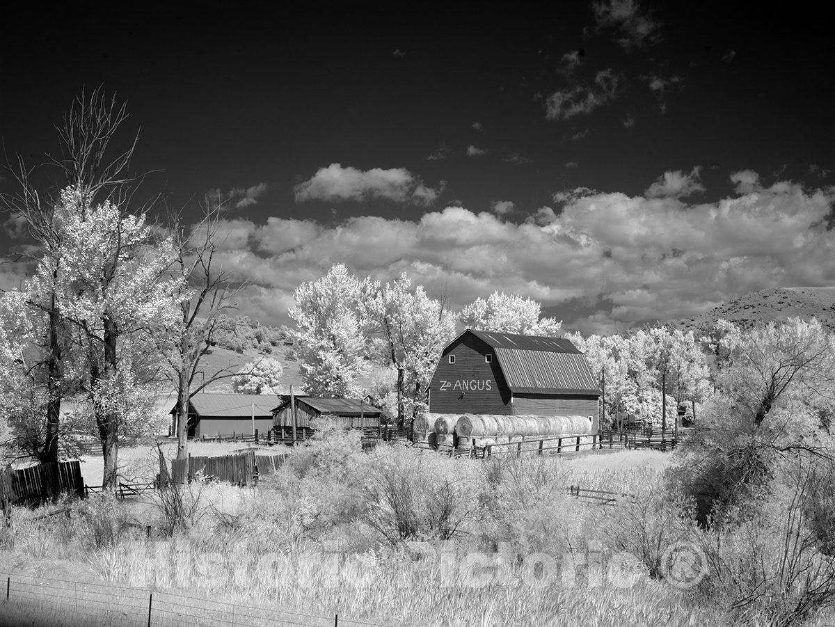 Montana Photo - Barn, rural Montana