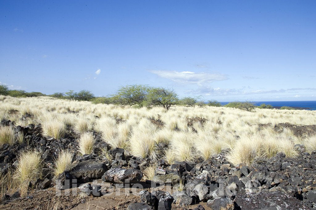 Hawaii Photo - Lava Rock on Hawaii