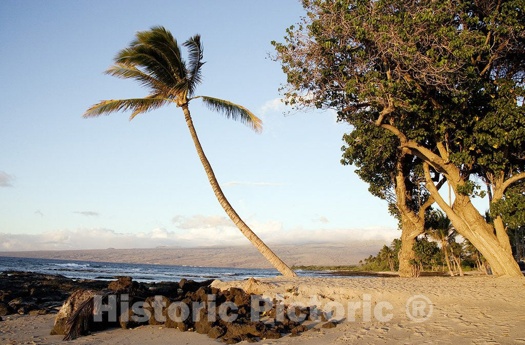 Oahu, HI Photo - Beach Scene on The Island of Oahu, Hawaii