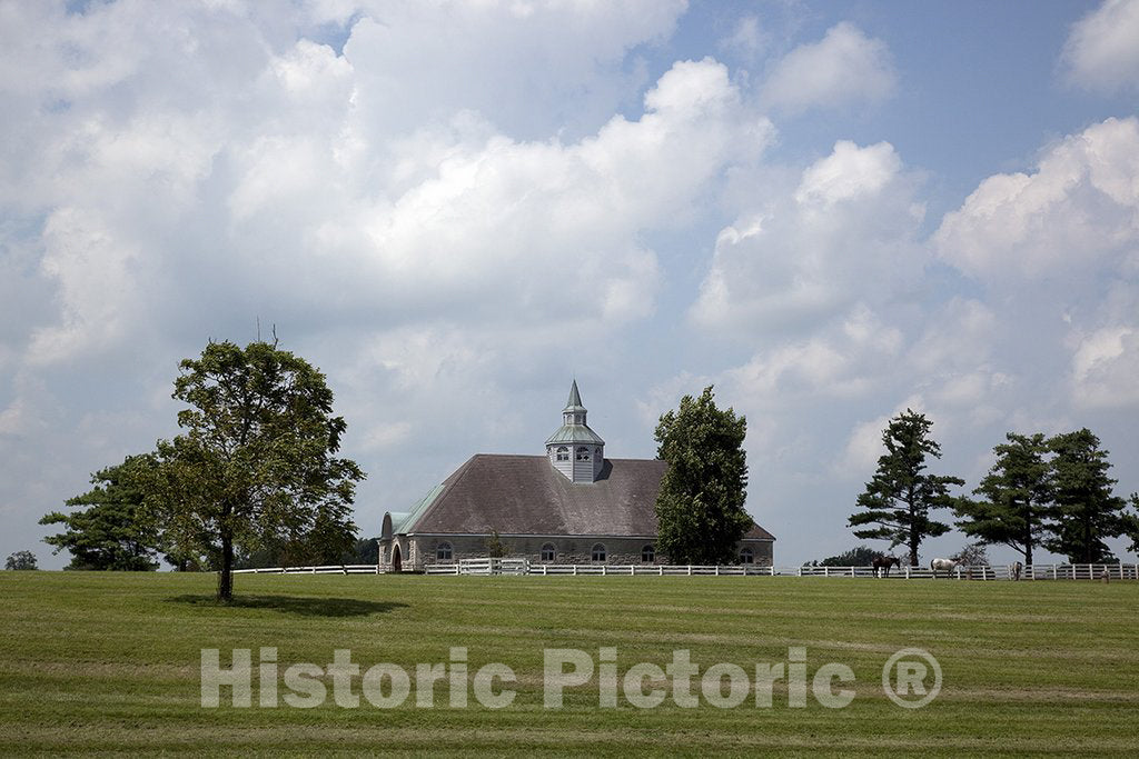 Lexington, KY Photo - Horse Farm, Lexington, Kentucky