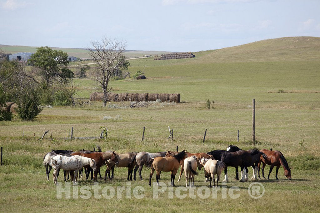 South Dakota Photo - Farm Scene, South Dakota