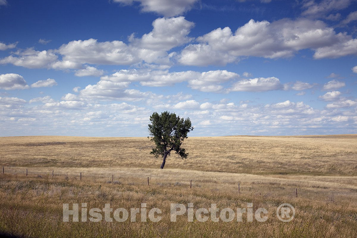 South Dakota Photo - Rural Scene, South Dakota