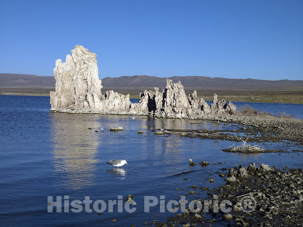 Mono Lake, CA Photo - Mono Lake, California