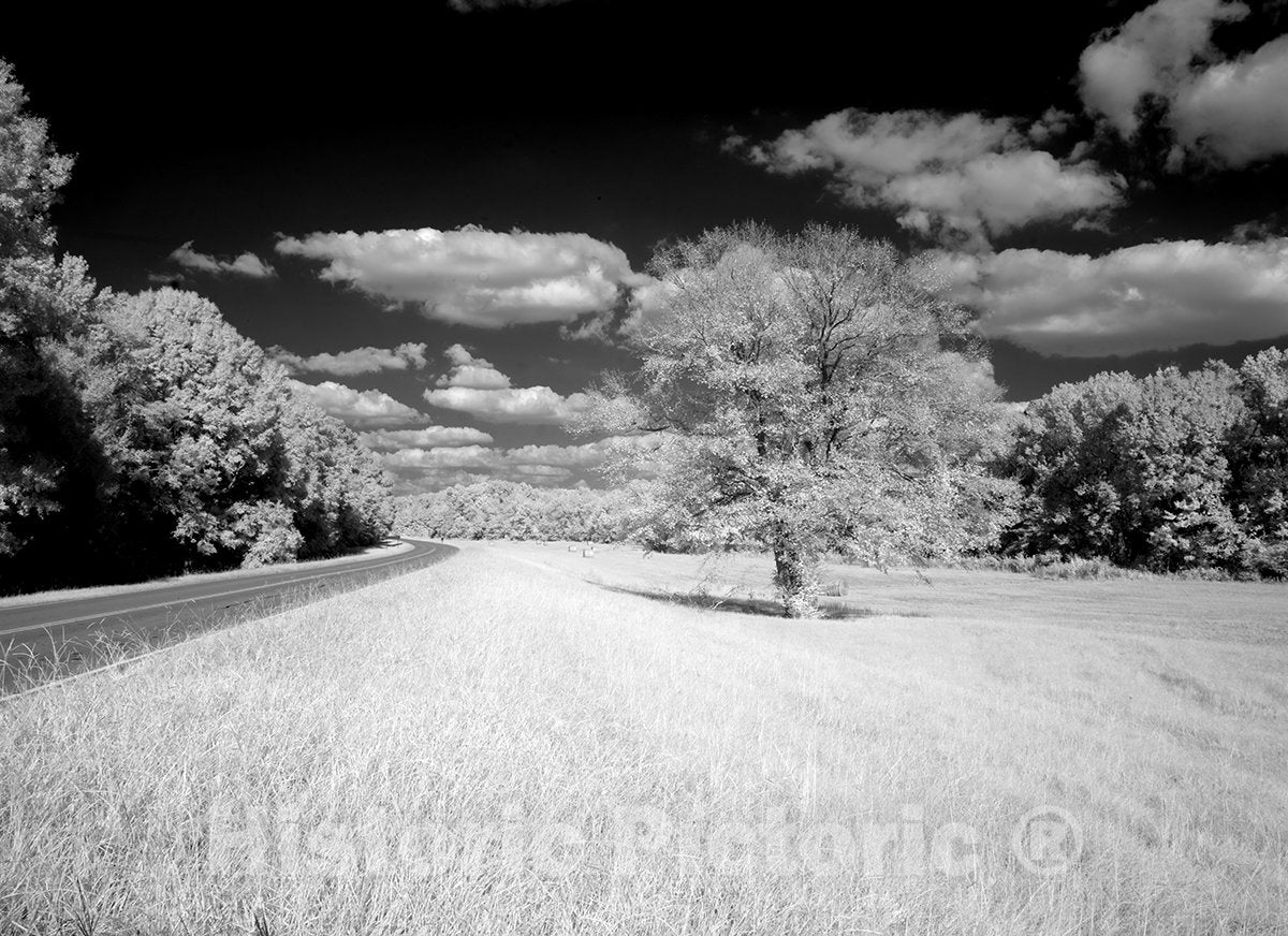 Natchez Trace Parkway, MS Photo - Natchez Trace Parkway, Mississippi