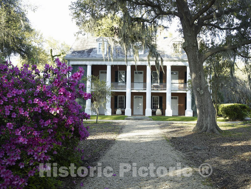 New Iberia, LA Photo - Shadows-on-the-Teche, New Iberia, Louisiana