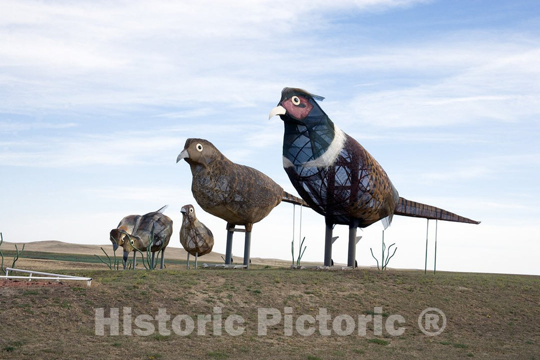 Regent, ND Photo -"Pheasants on the Prairie," Enchanted Highway-