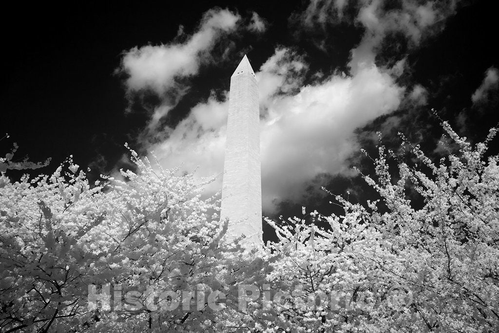 Washington, D.C. Photo - Washington Monument, Washington, D.C.