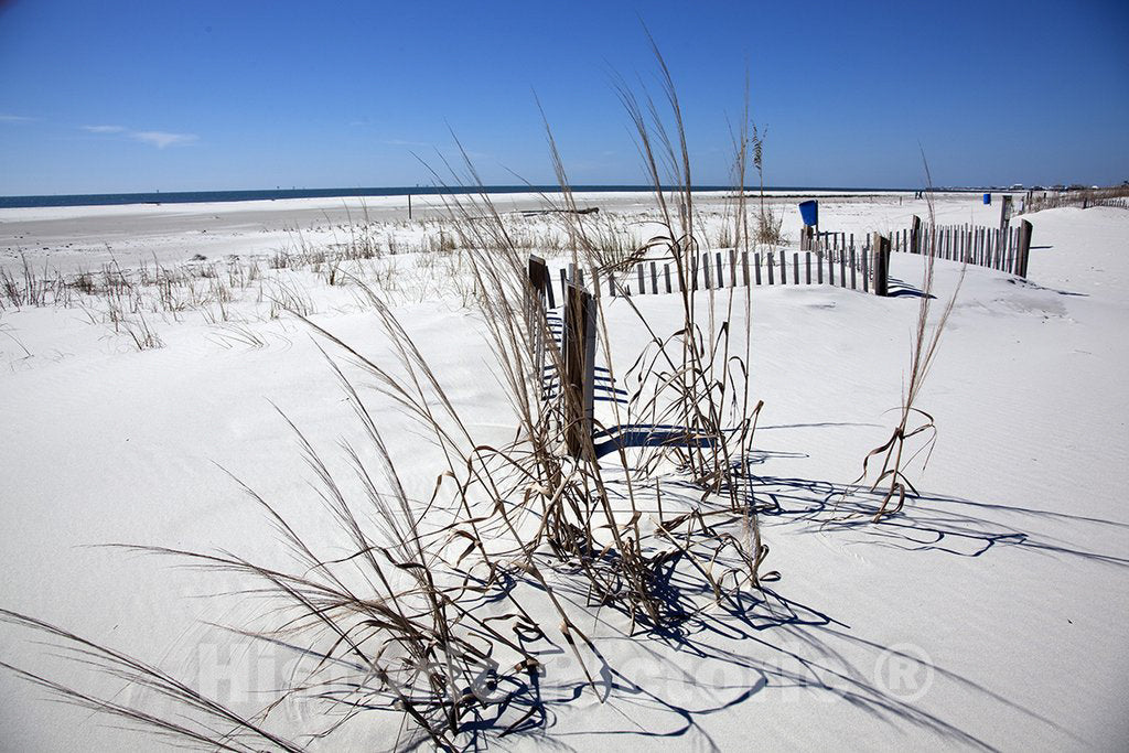 Dauphin Island, AL Photo - Beach Scene on Dauphin Island, Alabama