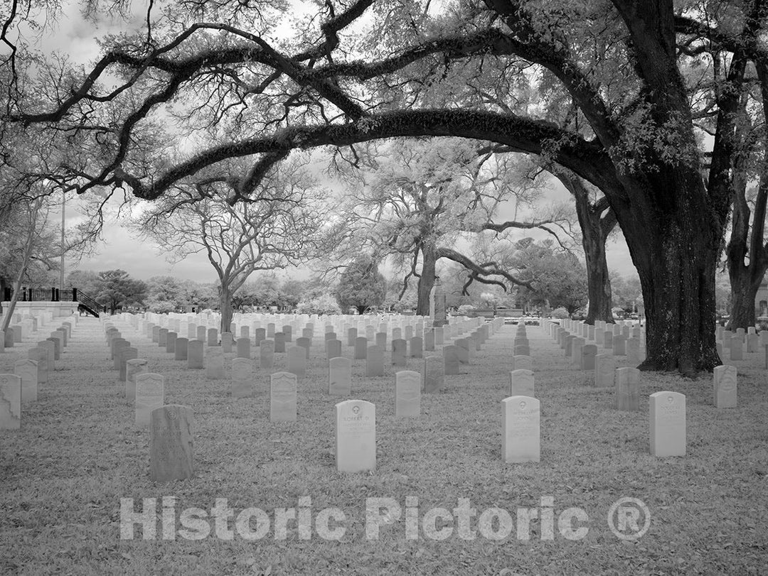 Mobile, AL Photo - Magnolia Cemetery, Mobile, Alabama