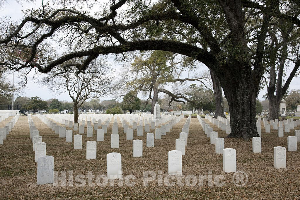 Mobile, AL Photo - Magnolia Cemetery, Mobile, Alabama