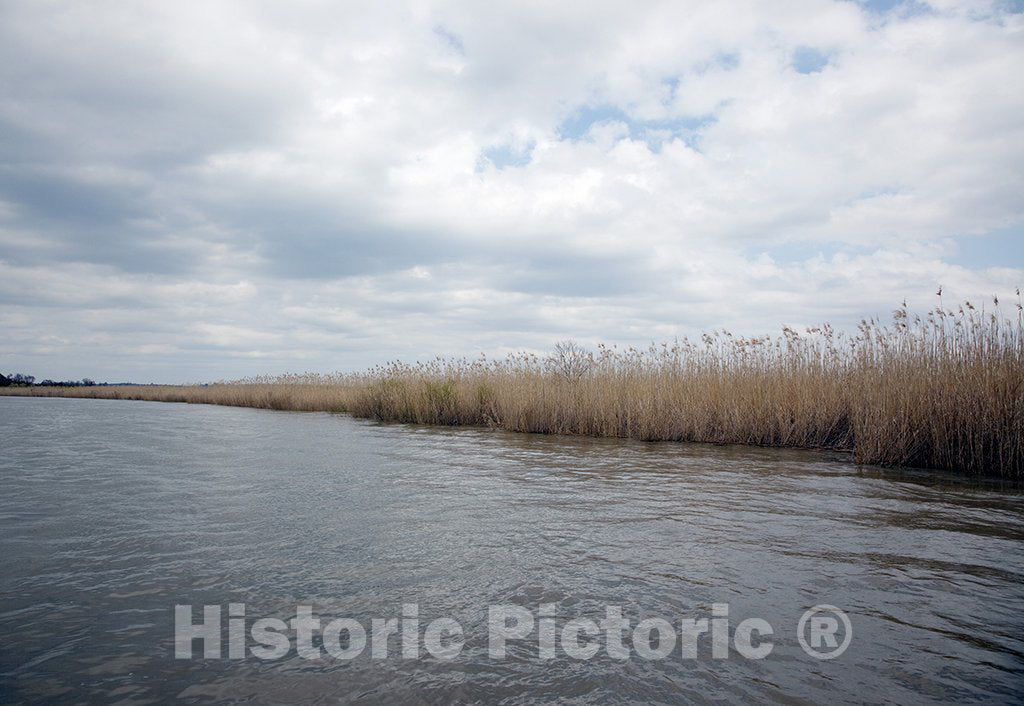 Mobile, AL Photo - Delta Waterway in Mobile, Alabama