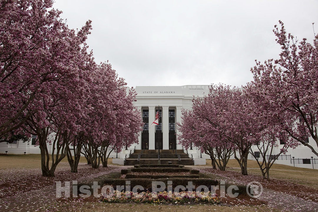 Montgomery, AL Photo - Trees Bloom in The Spring Near Government Buildings-