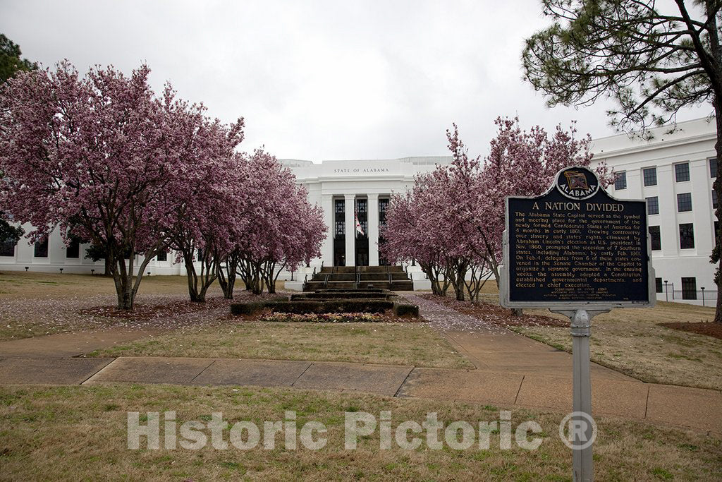 Montgomery, AL Photo - Trees bloom in the spring near government buildings in Montgomery, Alabama