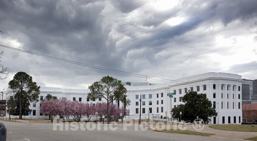 Montgomery, AL Photo - Trees Bloom in Front of The State Government Building, Montgomery, Alabama