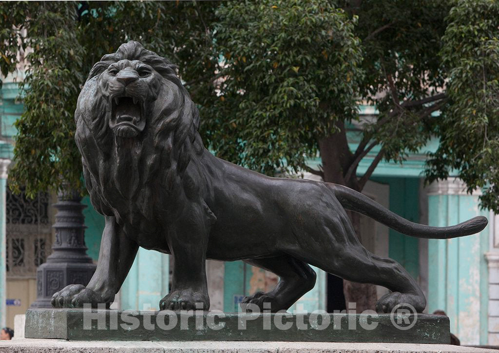 Photo - The Lion Statues on The Prado Promenade, Havana, Cuba- Fine Art Photo Reporduction