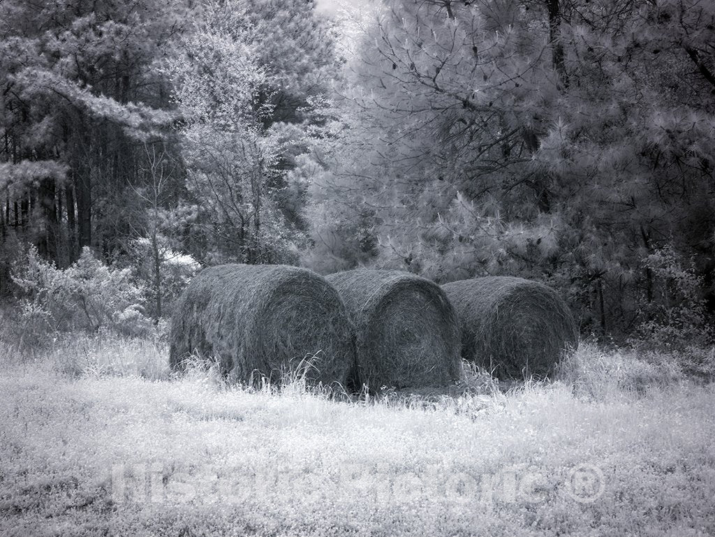 Alabama Photo - Rural Scene in Alabama