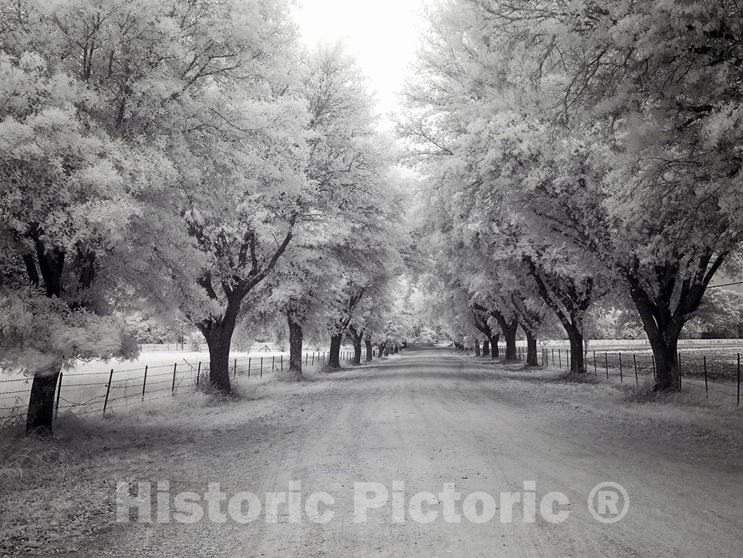 Mobile, AL Photo - Meadowbank Farm Located on Highway 84