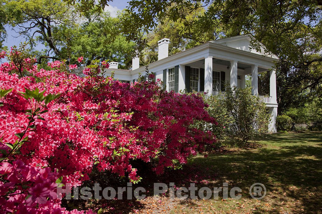 Mobile, AL Photo - Mobile, Alabama's Official Period House Museum, Oakleigh, Circa 1833, Listed on The National Register of Historic Places