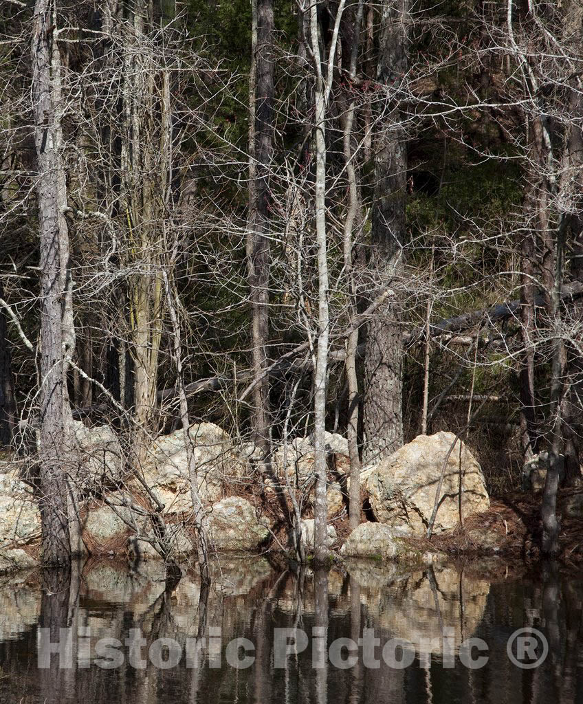 Scottsboro, AL Photo - Scenic Lake, Scottsboro, Alabama