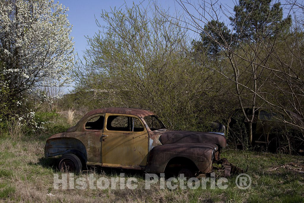 Alabama Photo - Rural Alabama in the spring