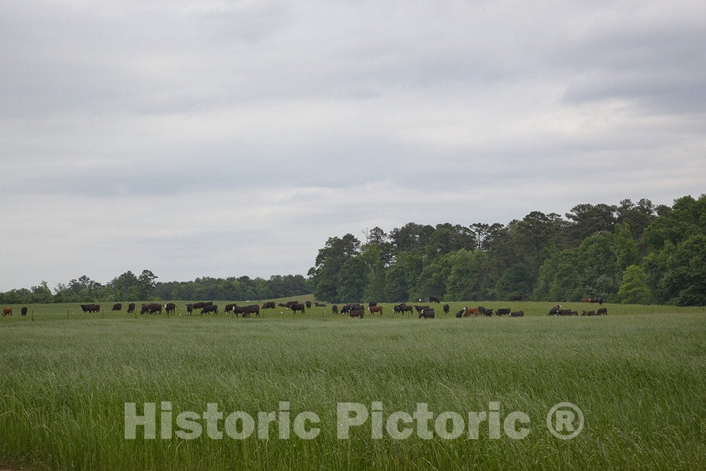 Monroeville, AL Photograph - Meadowbank Farm Located on Highway 84 in a Bend of The Alabama River Twelve Miles from Monroeville, Alabama, Between The Towns of Claiborne and Gosport