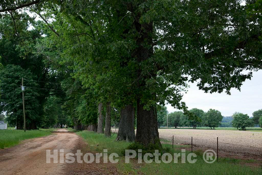 Photo - Meadowbank Farm located on Highway 84 in a bend of the Alabama River twelve miles from Monroeville, Alabama, between the towns of Claiborne and Gosport