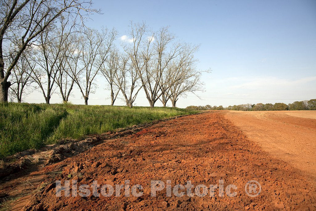 Alabama Photo - Rural Alabama in The Spring