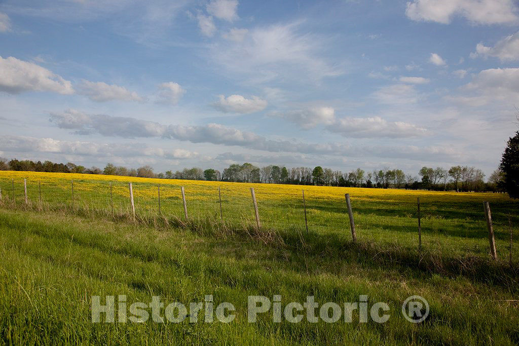 Photo- Rural Alabama in The Spring 2 Fine Art Photo Reproduction