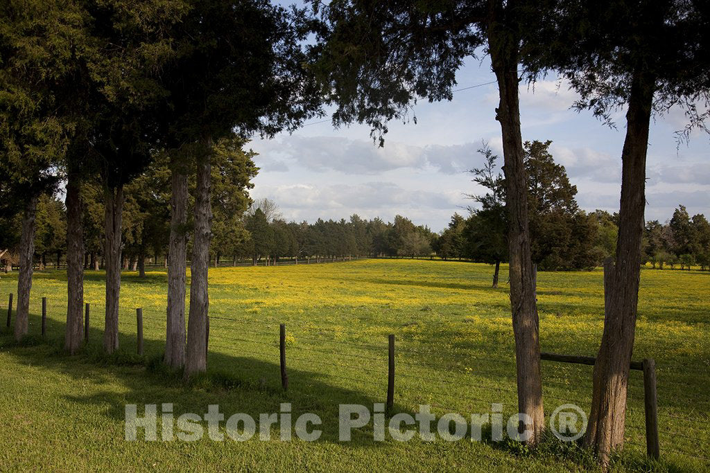 Alabama Photo - Rural Alabama in the spring