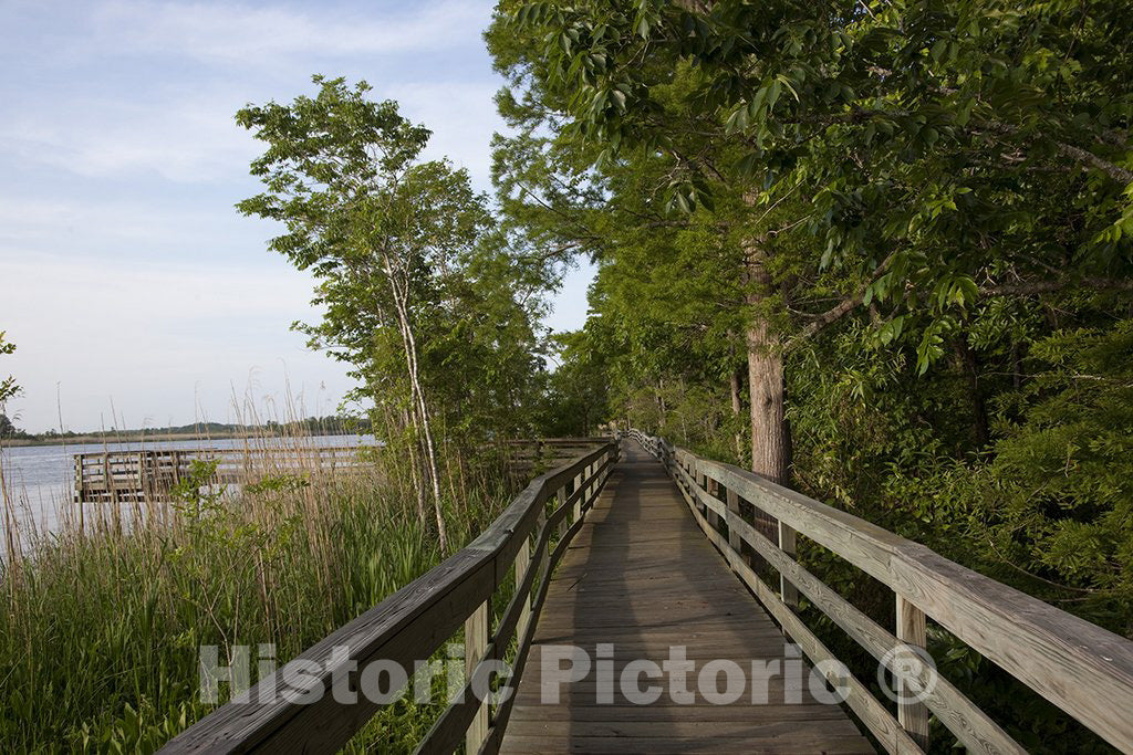 Spanish Fort, AL Photo - Historic Blakeley State Park Located on The Tensaw River in Alabama is Very Lush in The Summertime